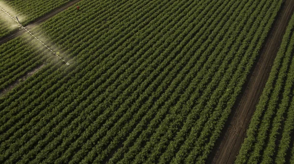 Hermosa vista de diferentes campos desde arriba — Foto de Stock