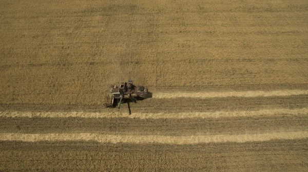 Trattore operante sul campo — Foto Stock