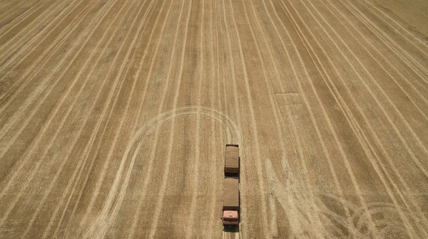 Macchine per la raccolta in campo — Foto Stock