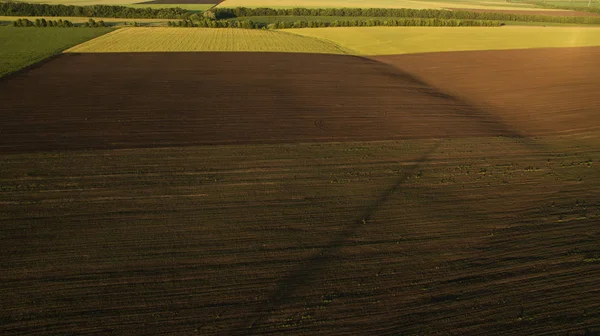 Verschiedene Felder bei Sonnenuntergang — Stockfoto