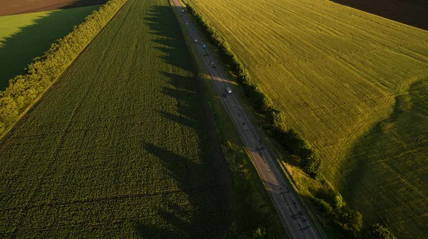 Дорога в поле вид сверху — стоковое фото