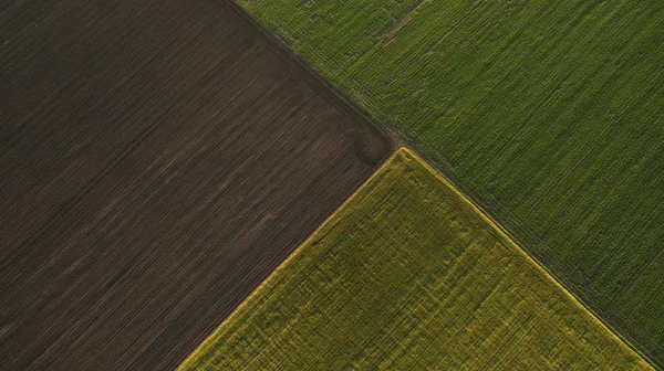 Аэрофотосъемка поля на закате — стоковое фото