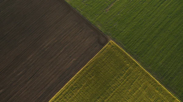 Fotografia aérea do campo ao pôr do sol — Fotografia de Stock