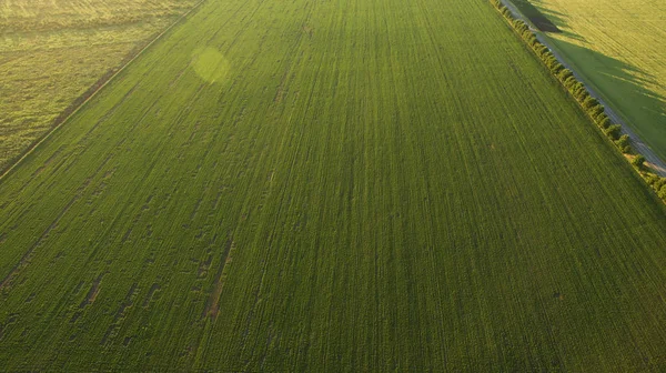 Fotografía aérea del campo al atardecer — Foto de Stock