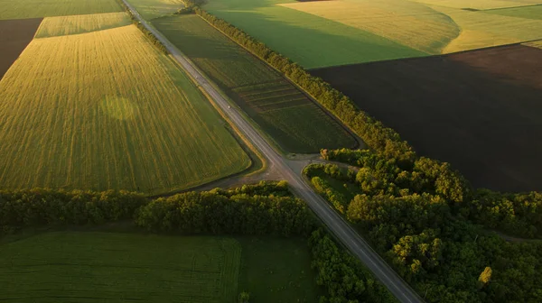 Widok z góry Road w polach — Zdjęcie stockowe