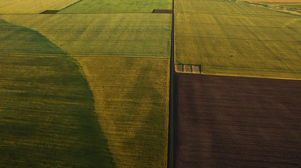 Fotografia lotnicza pięknych pól — Zdjęcie stockowe