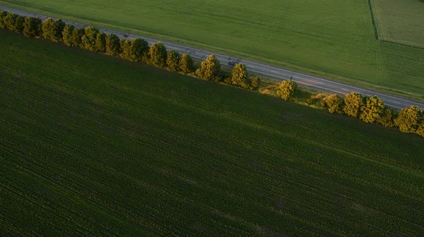 Аэрофотосъемка красивых полей — стоковое фото