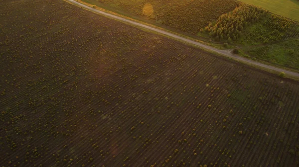 Luftaufnahmen von schönen Feldern — Stockfoto
