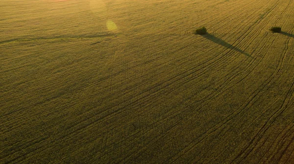 Beautiful Field View 스톡 사진