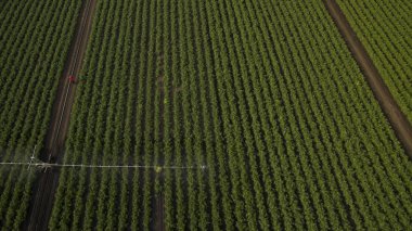 Yukarıdan farklı alanları göster