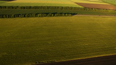 Yukarıdan farklı alanları göster