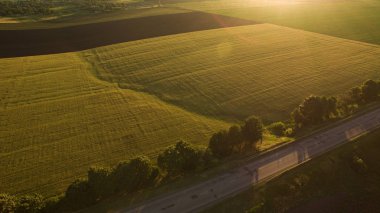 Yukarıdan farklı alanları göster