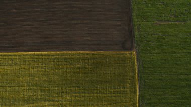 Yukarıdan farklı alanları göster