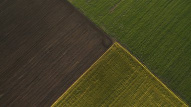 Yukarıdan farklı alanları göster