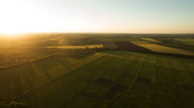 Yukarıdan farklı alanları göster