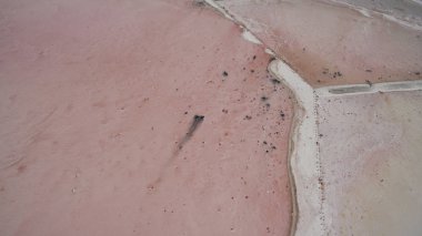 Yukarıdan güzel tuzlu pembe Göl Manzaralı