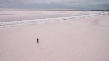 Yukarıdan güzel tuzlu pembe Göl Manzaralı