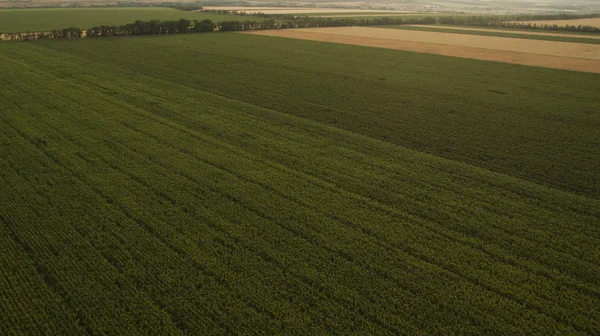 Yukarıdan farklı alanları göster