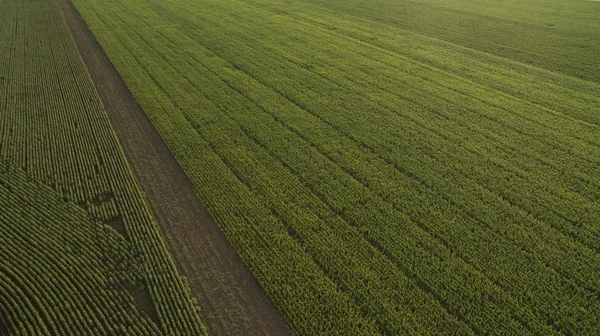 Yukarıdan farklı alanları göster