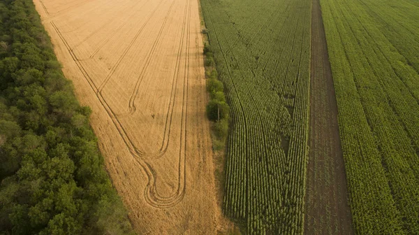 Yukarıdan farklı alanları göster