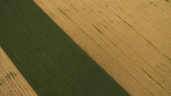 Yukarıdan farklı alanları göster