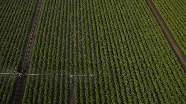 Yukarıdan farklı alanları göster