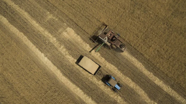 Yukarıdan alan görünümünde traktör