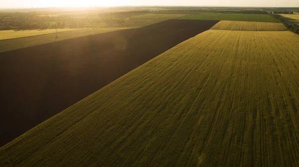 Yukarıdan farklı alanları göster