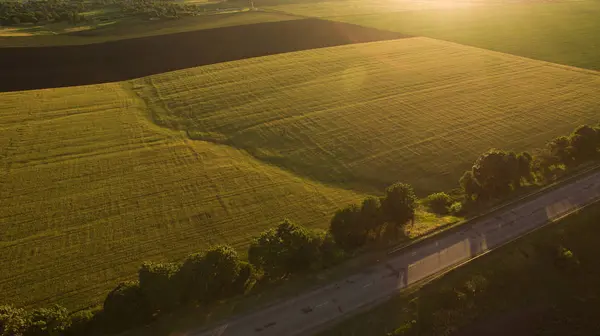 Yukarıdan farklı alanları göster