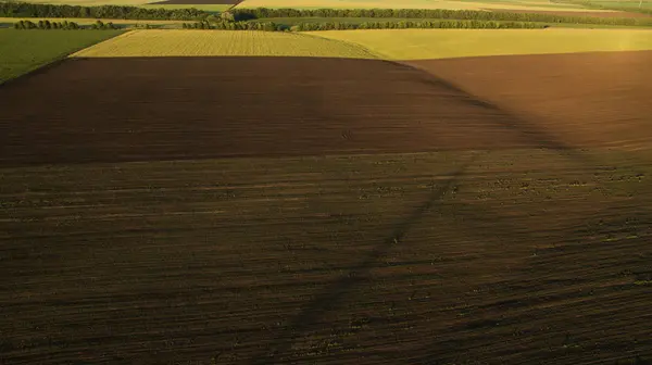 Yukarıdan farklı alanları göster