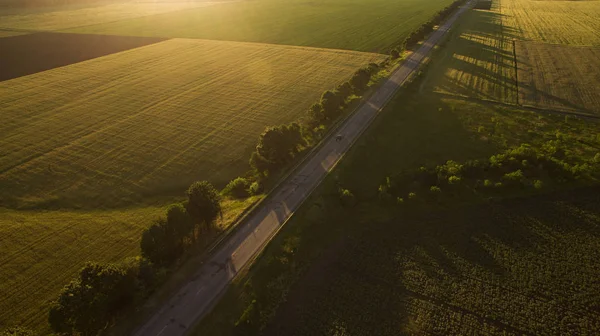 Yukarıdan farklı alanları göster