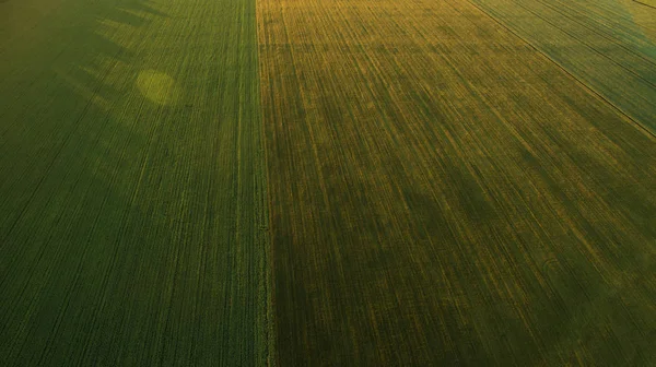 Different Fields View — Stock Photo, Image