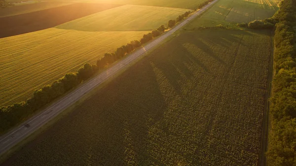 Yukarıdan farklı alanları göster