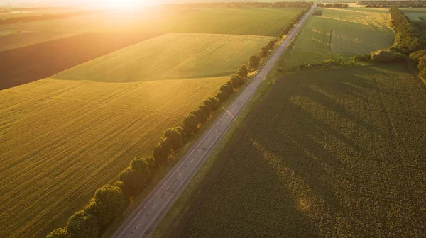Yukarıdan farklı alanları göster