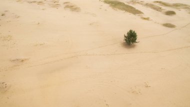 Kumlu çöl hava fotoğrafçılığı güzel manzara