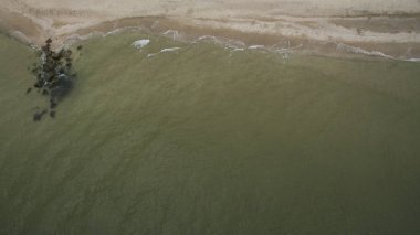 Deniz kıyısındaki kumlu sahil