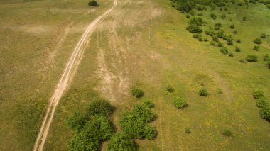 Yukarıdan ağaçları arasında yol