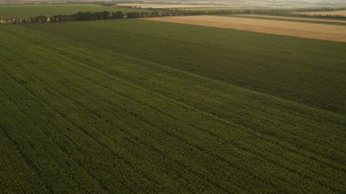 Yukarıdan farklı alanları göster