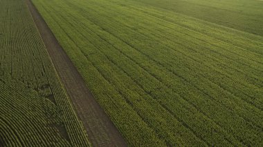 Yukarıdan farklı alanları göster