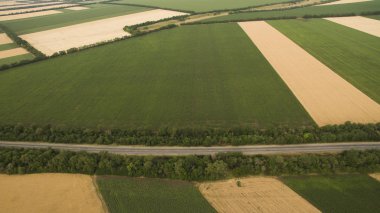 Yukarıdan farklı alanları göster