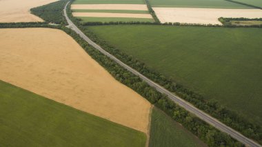 Yukarıdan farklı alanları göster