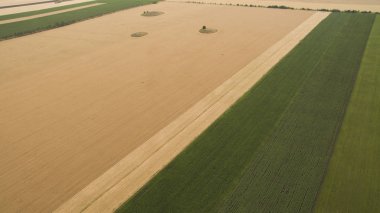 Yukarıdan farklı alanları göster