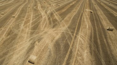 Yukarıdan farklı alanları göster