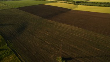 Yukarıdan farklı alanları göster