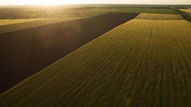 Yukarıdan farklı alanları göster