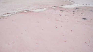 Yukarıdan güzel tuzlu pembe Göl Manzaralı