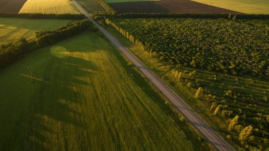 Yukarıdan farklı alanları göster