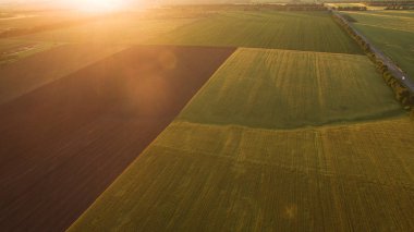 Yukarıdan farklı alanları göster
