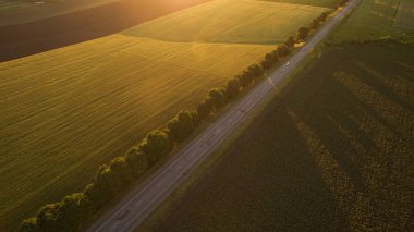 Yukarıdan farklı alanları göster