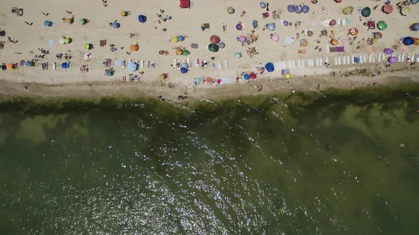 Deniz yukarıdan yaz görünümünde